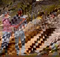 Karrke Aboriginal Cultural Experience - Accommodation Gladstone