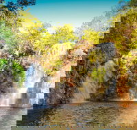 Litchfield National Park Waterfalls Day Trip From Darwin Including Termite Mounds and Lunch - Accommodation Gladstone