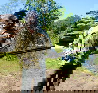 Kakadu  Arnhem Land tour Camping tour - Accommodation Gladstone