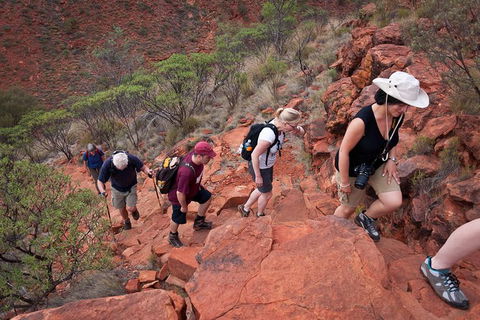 Uluru, Kata Tjuta And Kings Canyon Camping Safari From Alice Springs - Accommodation Gladstone 3