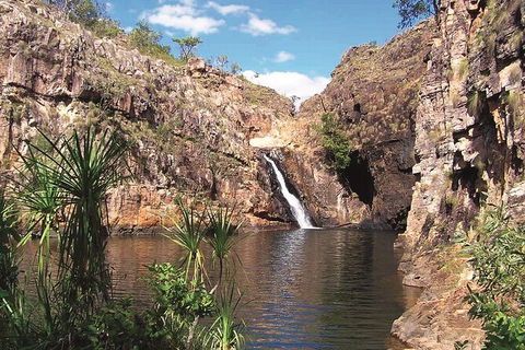 Kakadu, Katherine & Litchfield Adventure - Accommodation Gladstone 1