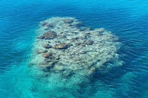 Lady Musgrave Day Trip From Bundaberg Including Snorkeling, Glass Bottom Tour And Guided Island Walk - Accommodation Gladstone 2