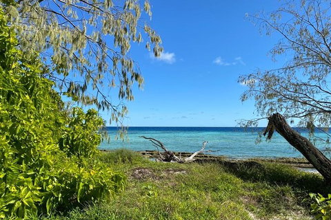 Lady Musgrave Day Trip From Bundaberg Including Snorkeling, Glass Bottom Tour And Guided Island Walk - Accommodation Gladstone 6