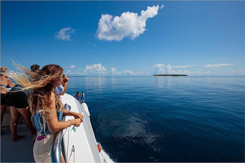 Lady Musgrave Day Trip From Bundaberg Including Snorkeling, Glass Bottom Tour And Guided Island Walk - Accommodation Gladstone 4