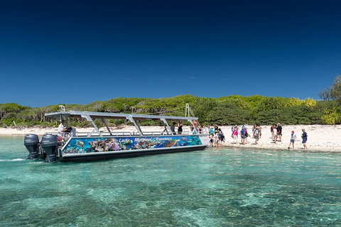 Lady Musgrave Day Trip From Bundaberg Including Snorkeling, Glass Bottom Tour And Guided Island Walk - Accommodation Gladstone 5