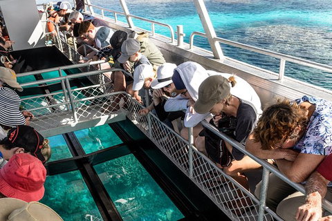 Lady Musgrave Day Trip From Bundaberg Including Snorkeling, Glass Bottom Tour And Guided Island Walk - Accommodation Gladstone 3