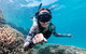 Lady Musgrave Day Trip From Bundaberg Including Snorkeling, Glass Bottom Tour And Guided Island Walk - thumb 1