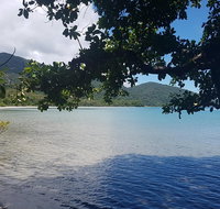 Full Day Tour in the Daintree
