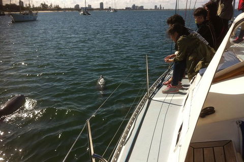 Gold Coast Sailing Cruise With Sparkling Wine & Nibbles Platter - Accommodation Gladstone 3