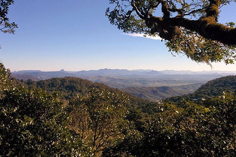 Gold Coast Lamington National Park And Tamborine Mountain 4WD Ecotour - Accommodation Gladstone 6