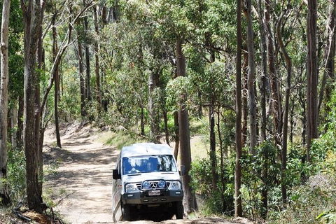 Gold Coast Lamington National Park And Tamborine Mountain 4WD Ecotour - Accommodation Gladstone 1