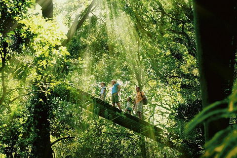Gold Coast Lamington National Park And Tamborine Mountain 4WD Ecotour - Accommodation Gladstone 0