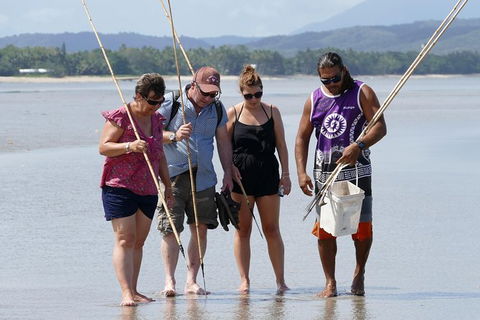 Aboriginal Cultural Daintree Rainforest Tour From Cairns Or Port Douglas - Accommodation Gladstone 0
