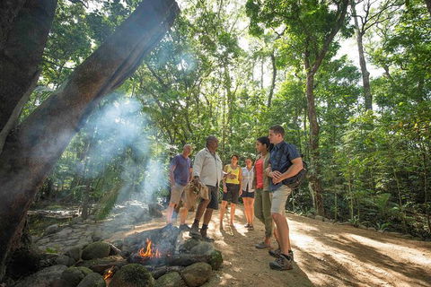 Aboriginal Cultural Daintree Rainforest Tour From Cairns Or Port Douglas - Accommodation Gladstone 3
