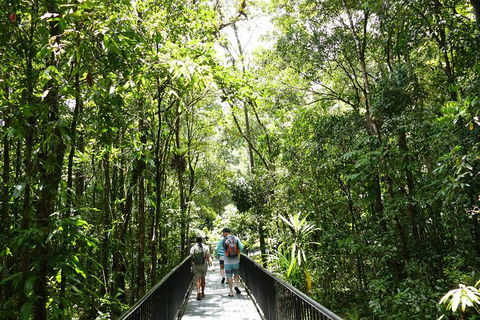 Aboriginal Cultural Daintree Rainforest Tour From Cairns Or Port Douglas - Accommodation Gladstone 4
