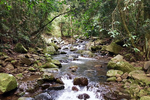 Private Tour - Accommodation Gladstone 13