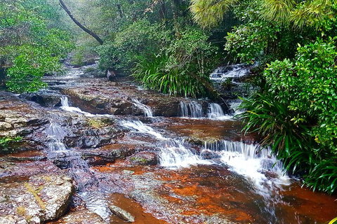 Private Tour - Accommodation Gladstone 2