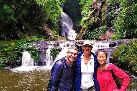 Private Tour - Accommodation Gladstone 0