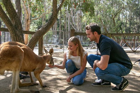 Currumbin Wildlife Sanctuary General Entry Ticket - Accommodation Gladstone 1