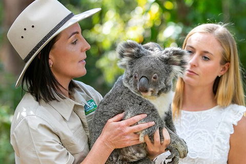 Currumbin Wildlife Sanctuary General Entry Ticket - Accommodation Gladstone 6