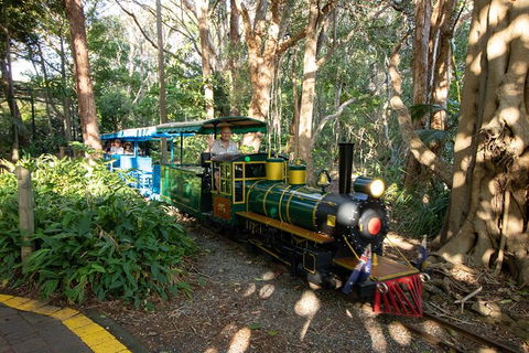 Currumbin Wildlife Sanctuary General Entry Ticket - Accommodation Gladstone 13