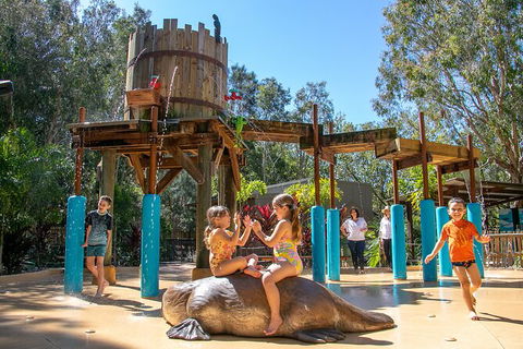 Currumbin Wildlife Sanctuary General Entry Ticket - Accommodation Gladstone 20