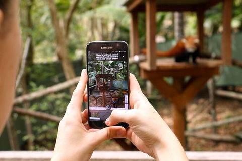 Currumbin Wildlife Sanctuary General Entry Ticket - Accommodation Gladstone 4