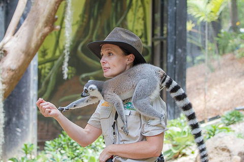 Currumbin Wildlife Sanctuary General Entry Ticket - Accommodation Gladstone 7