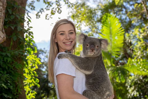 Currumbin Wildlife Sanctuary General Entry Ticket - Accommodation Gladstone 0
