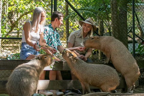 Currumbin Wildlife Sanctuary General Entry Ticket - Accommodation Gladstone 16