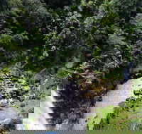 Full-day Springbrook National Park Tour from the Gold Coast - Accommodation Gladstone