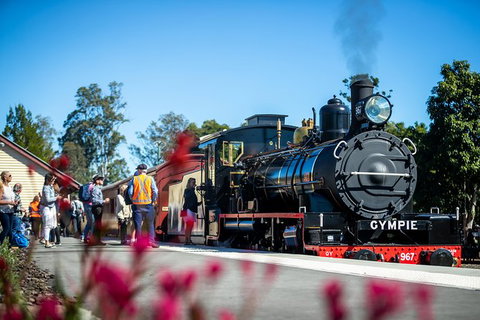 Mary Valley Rattler - Accommodation Gladstone 5