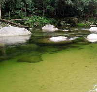 Afternoon Half-Day Daintree Rainforest and River Tour