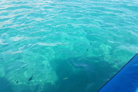 Gold Coast Try-Scuba Experience At Wave Break Island - Accommodation Gladstone 12