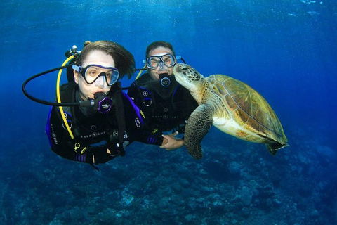 Gold Coast Try-Scuba Experience At Wave Break Island - Accommodation Gladstone 0