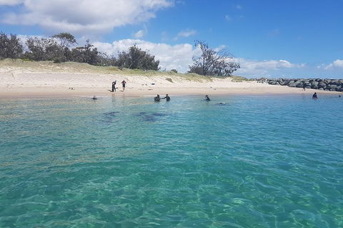 Gold Coast Try-Scuba Experience At Wave Break Island - Accommodation Gladstone 14