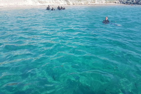 Gold Coast Try-Scuba Experience At Wave Break Island - Accommodation Gladstone 13