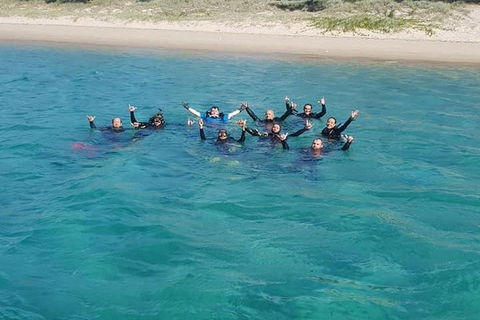 Gold Coast Try-Scuba Experience At Wave Break Island - Accommodation Gladstone 7