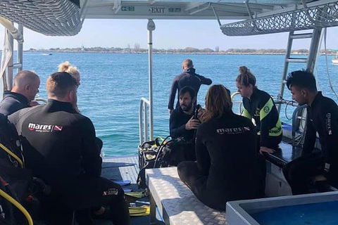 Gold Coast Try-Scuba Experience At Wave Break Island - Accommodation Gladstone 1