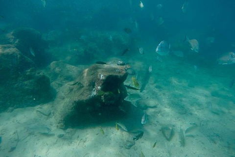 Gold Coast Try-Scuba Experience At Wave Break Island - Accommodation Gladstone 5