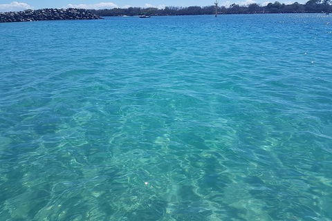 Gold Coast Try-Scuba Experience At Wave Break Island - Accommodation Gladstone 9
