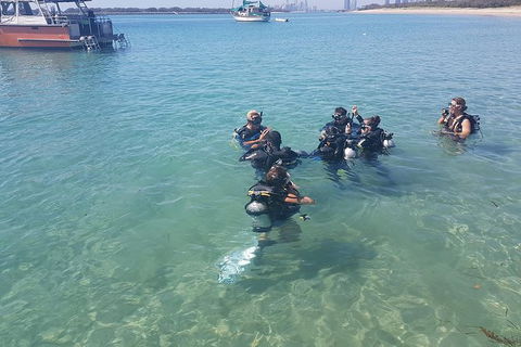 Gold Coast Try-Scuba Experience At Wave Break Island - Accommodation Gladstone 11