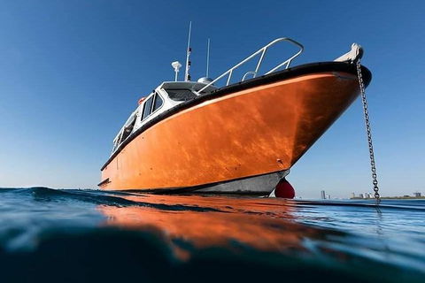 Gold Coast Try-Scuba Experience At Wave Break Island - Accommodation Gladstone 2