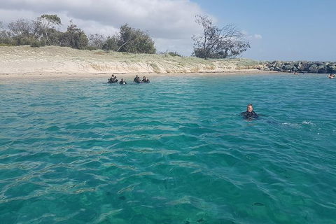 Gold Coast Try-Scuba Experience At Wave Break Island - Accommodation Gladstone 16