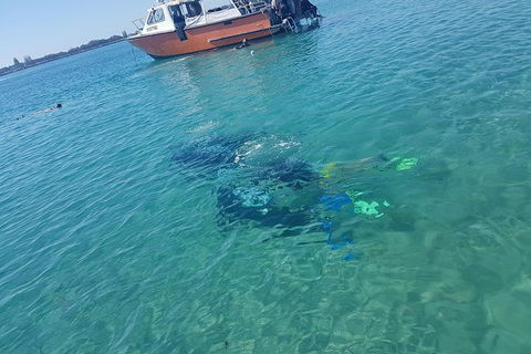 Gold Coast Try-Scuba Experience At Wave Break Island - Accommodation Gladstone 15