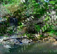 Gold Coast 4WD Eco Outback Tracks Tour - Accommodation Gladstone