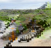 Gold Coast Segway Safari Adventure 90-minutes - Accommodation Gladstone