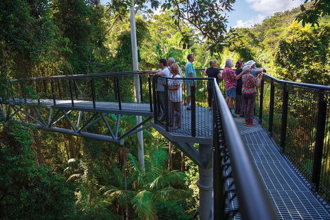 The Best Of Tamborine Mountain From The Gold Coast - Accommodation Gladstone 2