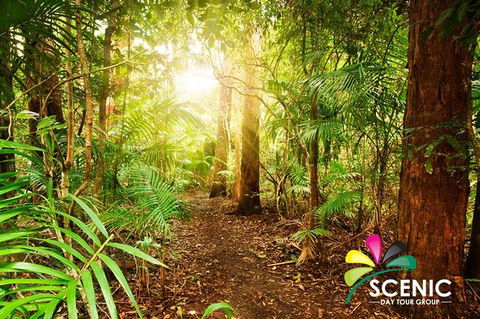 The Best Of Tamborine Mountain From The Gold Coast - Accommodation Gladstone 1