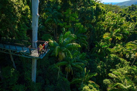 The Best Of Tamborine Mountain From The Gold Coast - Accommodation Gladstone 0